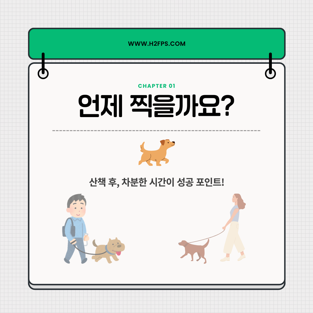 언제 찍을까요 카드, 산책 후 차분한 시간을 권하는 강아지 산책 그림