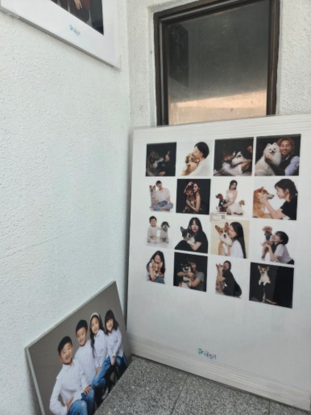 강아지와 사람 사진 여러 장을 붙인 판과 단체 사진 캔버스가 세워진 계단 벽