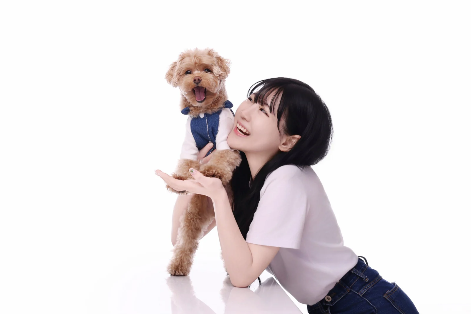 둘이함개 · 푸들과 마주 보며 엎드린 여성 · 이층사진관