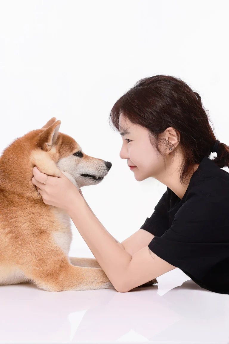 둘이함개 · 시바견 얼굴을 쓰다듬는 여성 · 이층사진관