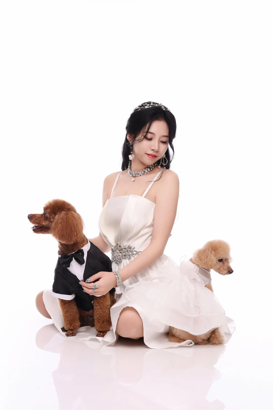 둘이함개 · 턱시도 입은 푸들과 드레스 차림 여성 · 이층사진관