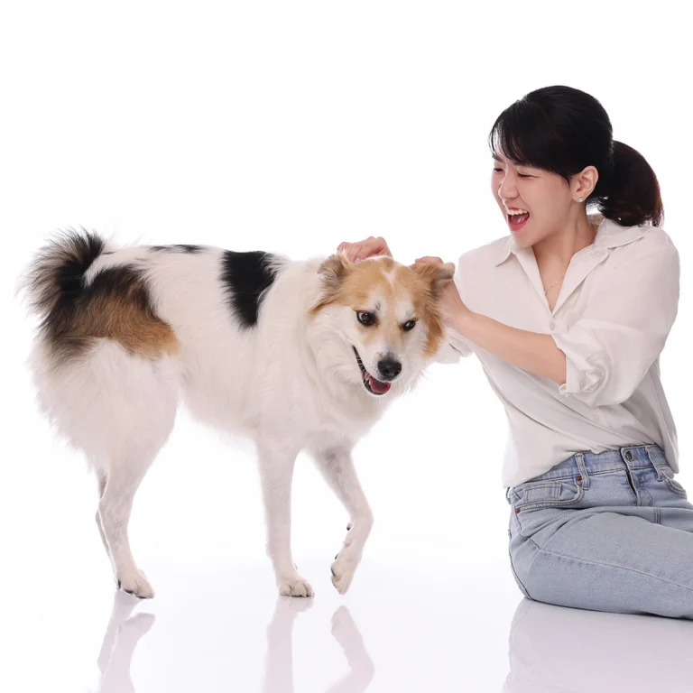 둘이함개 · 얼룩 강아지를 쓰다듬는 여성 · 이층사진관