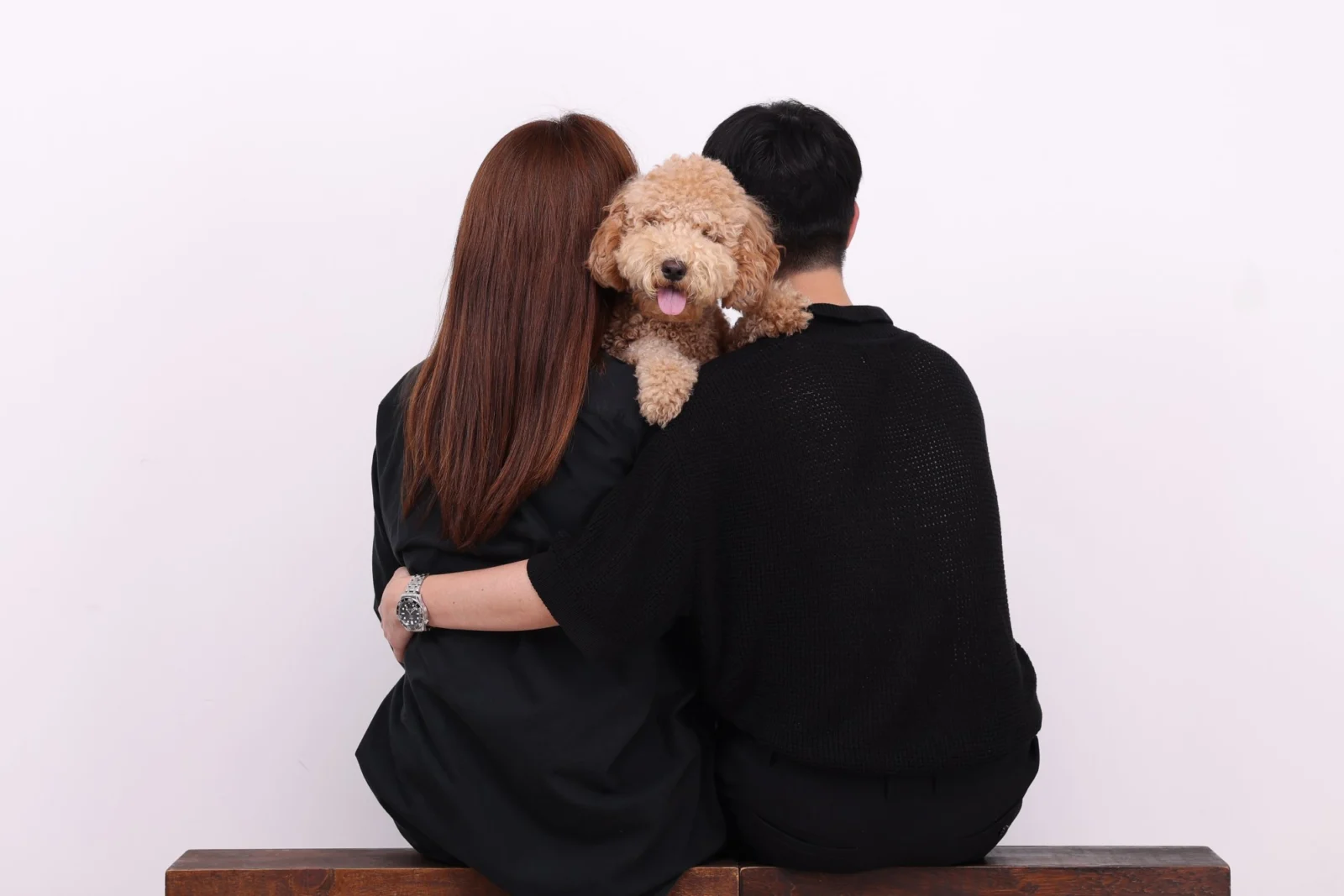 검은 옷 차림 두 사람의 뒷모습 사이로 갈색 곱슬털 강아지가 얼굴을 내민 개족사진