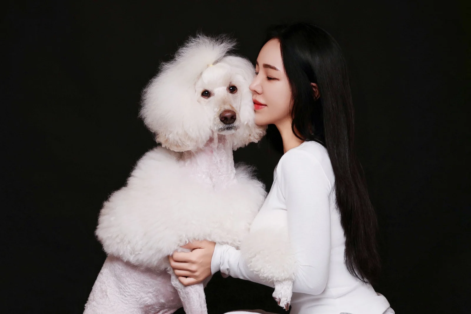 검정 배경에서 흰 곱슬털 대형견에게 볼을 대고 안은 한 사람의 둘이함개 사진
