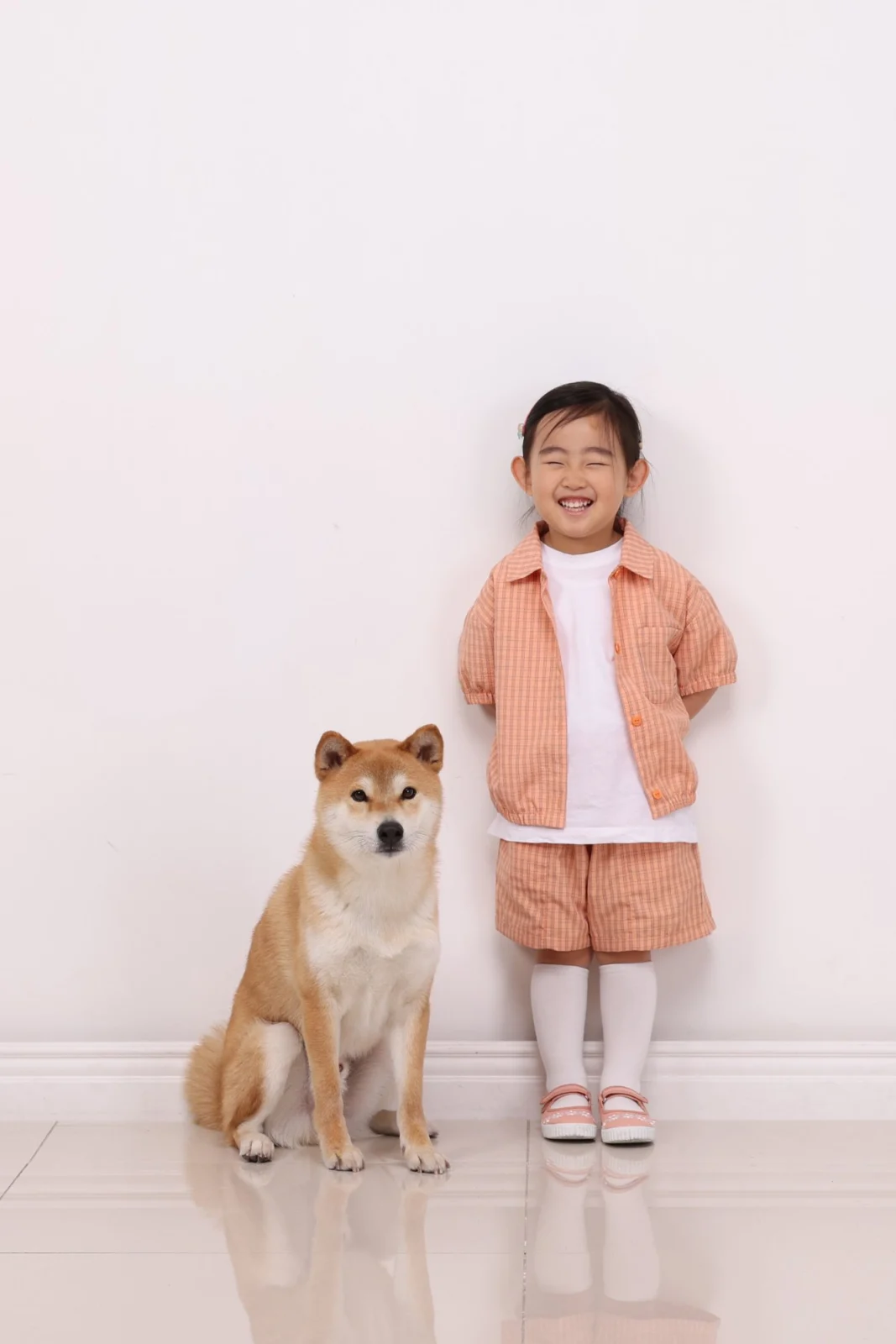 흰 배경에서 갈색 중형견 옆에 서서 웃는 아이 한 명의 개족사진